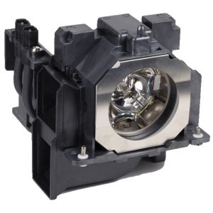 base_image_label-300449-OI65699