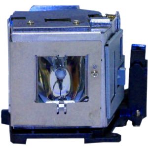 base_image_label-300612-OI61889