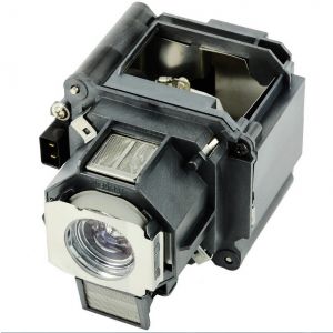 base_image_label-300975-OI62619