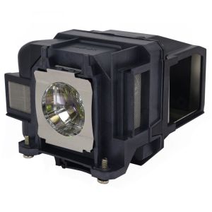base_image_label-302328-OI67253