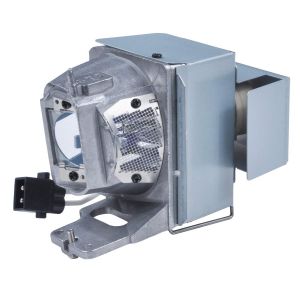 base_image_label-302684-OI67114
