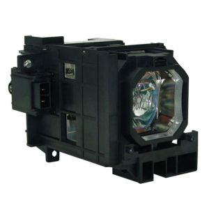 base_image_label-300022-OI61301