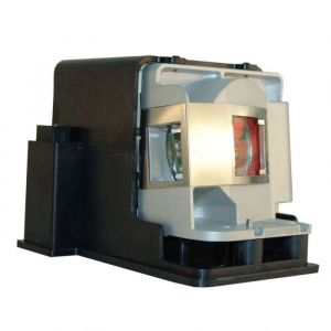 INFOCUS DEPTHQ HDs3D-1 Original Inside Projector Lamp - Replaces SP-LAMP-058