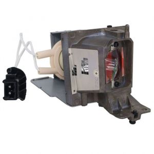 base_image_label-302555-OI65381